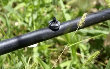 راهکارهای نوین آبیاری: معرفی قطره‌چکان نتافیم، آبپاش هانتر PS و PGP