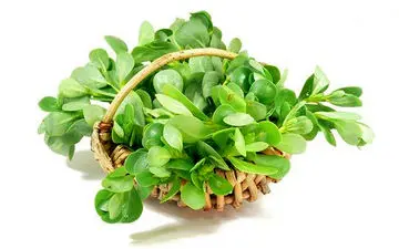 با این سبزی، 99 درد را درمان کنید