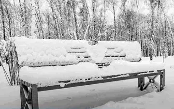 اگر فکر میکنی خیلی تیزبین هستی بگو ببینم خرگوش در کجای تصویر است!