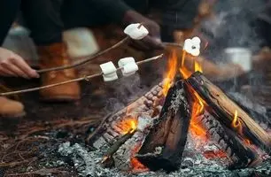 آتش روشن کردن در طبیعت به سادگی آب خوردن! (آموزش ویدئویی)