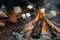 آتش روشن کردن در طبیعت به سادگی آب خوردن! (آموزش ویدئویی)