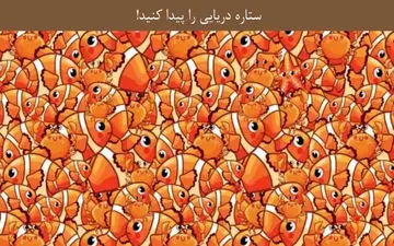 ستاره دریایی پنهان در تصویر رو پیدا کن / البته فقط17 ثانیه وقت داری!