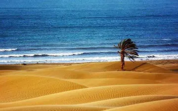 پدیده زیبای دریای دو رنگ در خلیج گواتر+فیلم