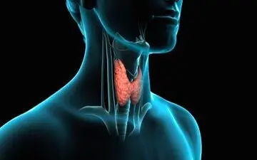 اگر کم کاری تیروئید دارید به این غذاها لب نزنید

