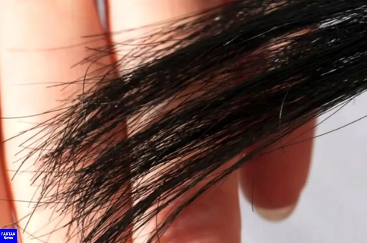 جلوگیری از دوشاخه شدن مو با این راهکار

