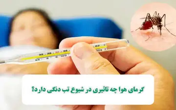 تاثیر گرمای هوا در شیوع تب دنگی

