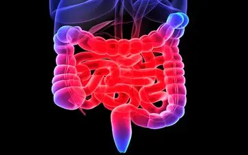 6مشکل ساده دستگاه گوارش که حتما باید جدی بگیرید