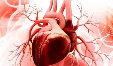 تاثیر محافظتی ورزش بر قلب زنان بیشتر است