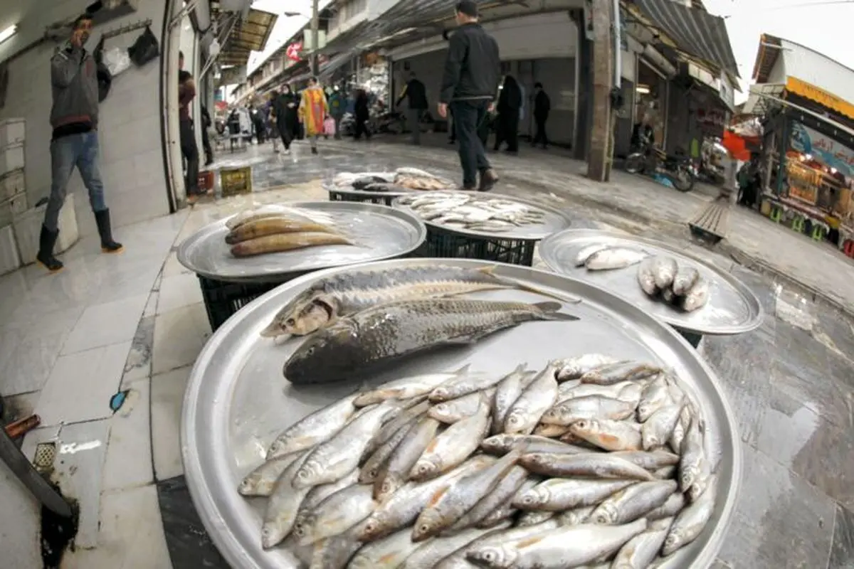 آخرین قیمت ماهی در بازار امروز ۵ شهریور ۱۴۰۲ 