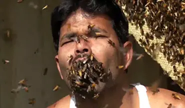 هل دادن یک مشت زنبور در داخل دهان توسط مرد هندی + فیلم 