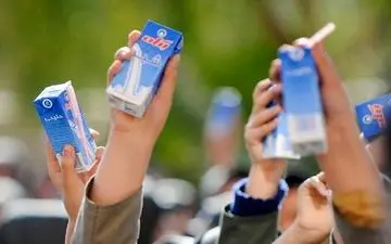 توزیع شیر در مدارس مناطق محروم آغاز شد