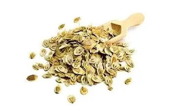 این گیاه معطر کبدتان را پاکسازی می‌کند
