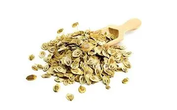 این گیاه معطر کبدتان را پاکسازی می‌کند