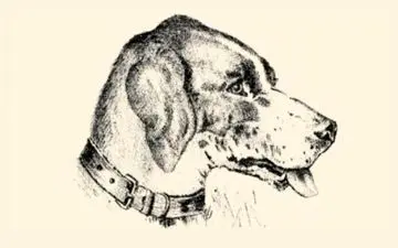 اگر فکر میکنی خیلی باهوشی بگو ببینم مرد پنهان در تصویر کجاست؟