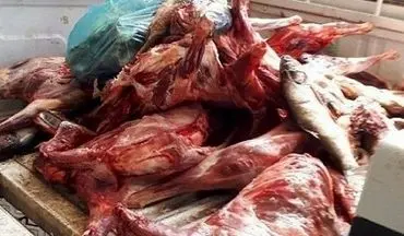 امحاء بیش از 1100 کیلوگرم گوشت غیر مجاز در سطح شهرستان کرمانشاه