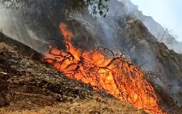 آتش‌سوزی در منطقه گردشگری "تنگ‌ترمان" لامرد مهار شد