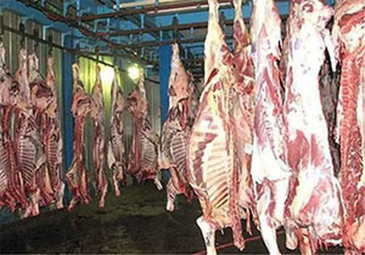 علت اصلی نوسان قیمت گوشت در بازار 