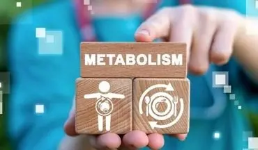 عوامل موثر بر سوخت‌وساز بدن