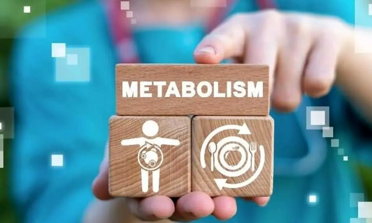 عوامل موثر بر سوخت‌وساز بدن
