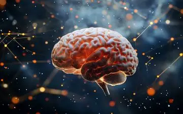 چرا برخی افراد در دام تصمیم‌های اشتباه می‌افتند