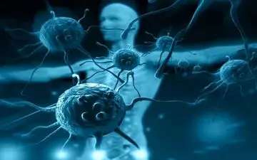 چگونه سیستم ایمنی بدن را به‌طور طبیعی تقویت کنیم؟