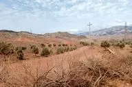 پنج مورد زمین‌خواری در قزوین شناسایی شد