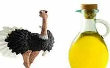  کاربردهای جادویی روغن شتر مرغ را بدانید/ از درمان درد زانو و مفاصل تا بهبود قوه‌ی بینایی
