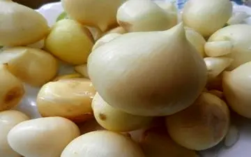  ۶ خاصیت فوق العاده موسیر 