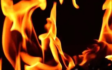 قتل عام خانوادگی / قاتل خودش را هم کشت