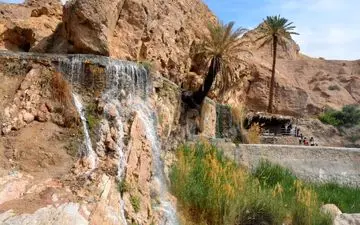 توقف اتوبوس گردشگران دارای مجوز در طبس 