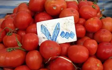 دستور آقای وزیر ۳ ماه دیر صادر شد!