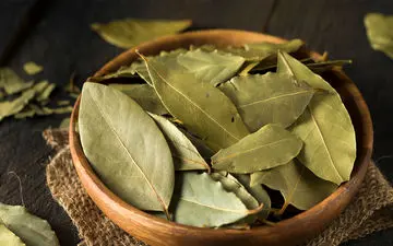 گیاهی که به شما کمک می‌کند از درد دندان و عفونت ادراری خلاص شوید
