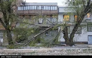 خسارت تندباد شدید در ارومیه/ 2 کارگر ساختمانی جان باختند