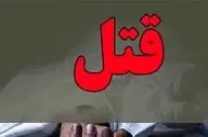 جنایت هولناک در برج پایتخت؛ سرایدار افغان، پس از قتل و سرقت متواری شد

