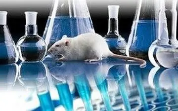 آزمایشگاه پیش بالینی دانشگاه علوم پزشکی کرمانشاه به زودی افتتاح می‌شود/ثبت پنج اختراع بین‌المللی و ۲۵۵ اختراع داخلی در مرکز رشد فناوری سلامت