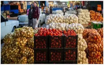 کاهش قیمت پیاز / پیاز ارزان‌تر خواهد شد