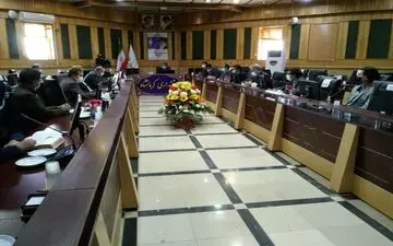 موجودی مرغ استان، در حد مطلوبی است