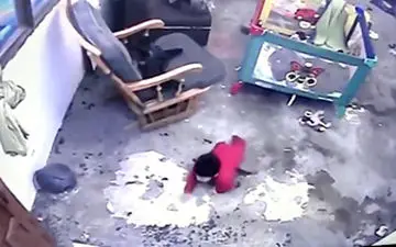 اقدام گربه قهرمان در نجات جان یک نوزاد