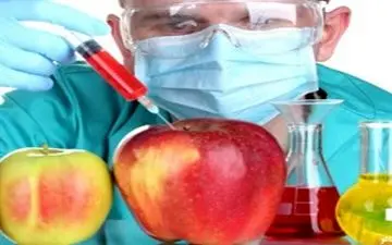  نکاتی در مورد غذاهای اصلاح شده ژنتیکی