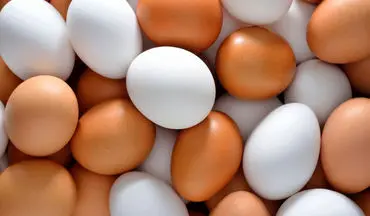قیمت تخم مرغ بسته بندی شده اعلام شد 