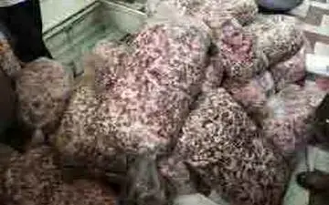 گوشت ها ی سیاه شده و خونابه داردر  کبابی معروف شرق تهران 