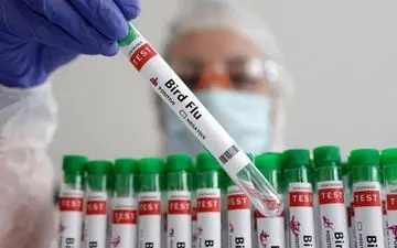 راه حلی ساده برای کاهش چربی خون که از آن غافل هستید