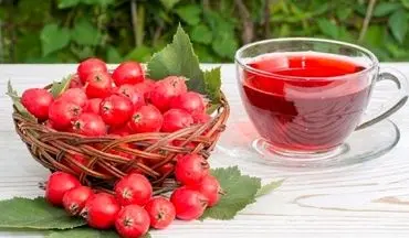 خواص فوق العاده زالزالک در طب سنتی که بعد از مصرف نصیب بدن تان می شود