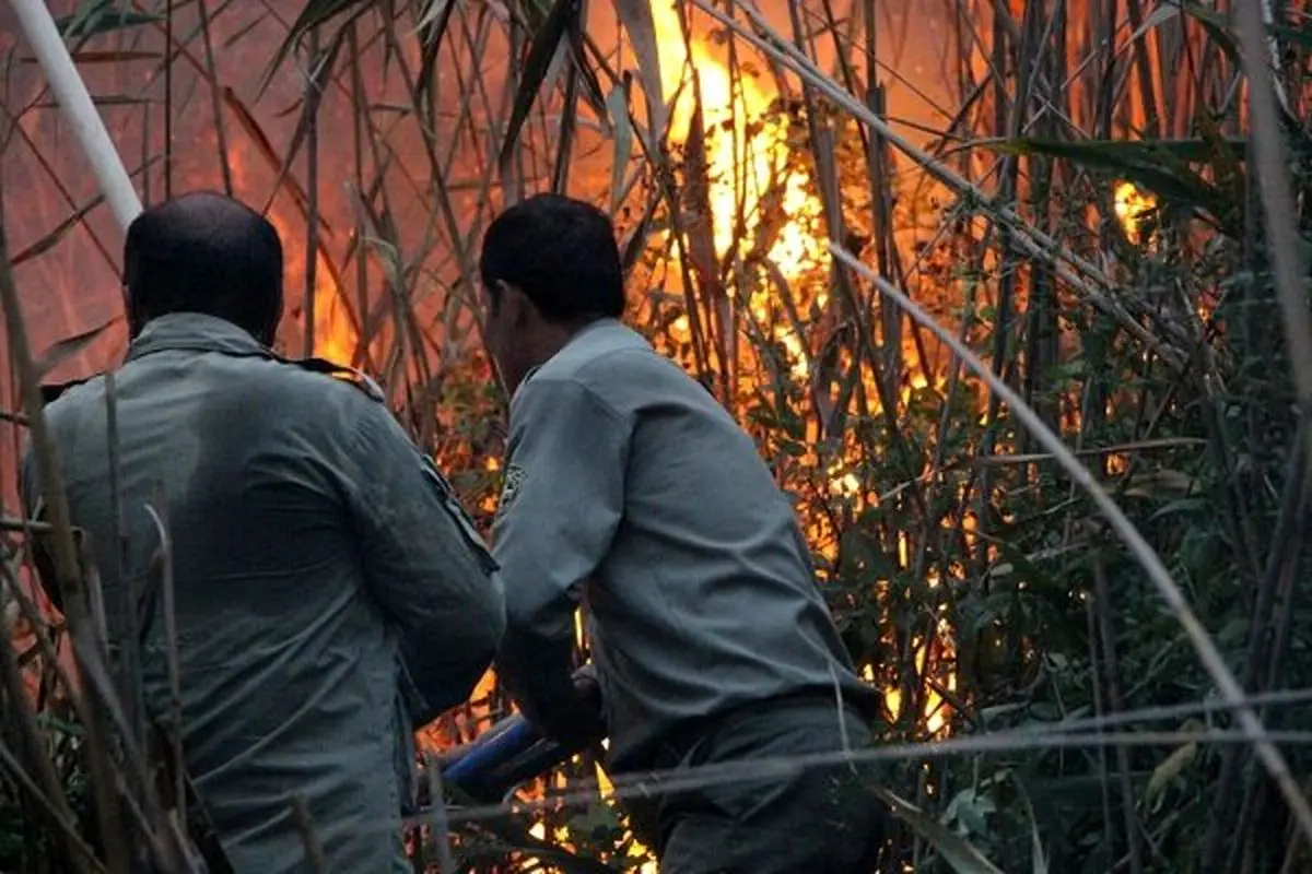 آتش سوزی 4 هکتار از اراضی تالاب انزلی