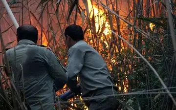 آتش سوزی 4 هکتار از اراضی تالاب انزلی