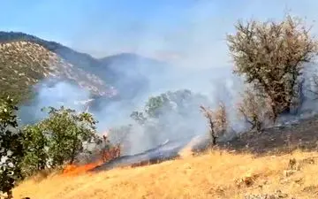 ۱۰۰ هکتار از مراتع و جنگل‌های گیلانغرب در آتش سوخت