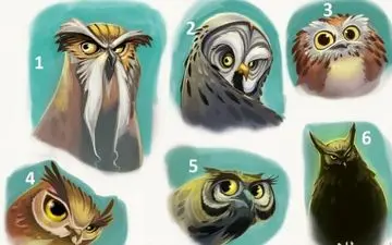  تست شخصیت شناسی| یک جغد را انتخاب کنید و به توصیه های عاقلانه او را گوش کنید