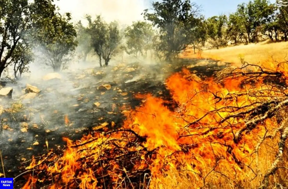 ۱۱۶ هکتار از اراضی کشاورزی اراک و شازند در کام آتش فرو رفت