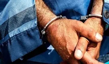 سرقت‌های سریالی با هدف تبدیل شدن به خواننده زیرزمینی مشهور