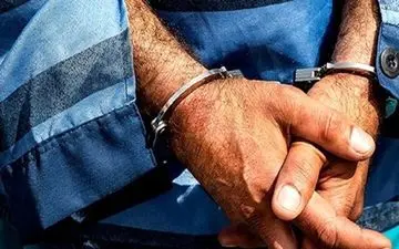 سرقت‌های سریالی با هدف تبدیل شدن به خواننده زیرزمینی مشهور